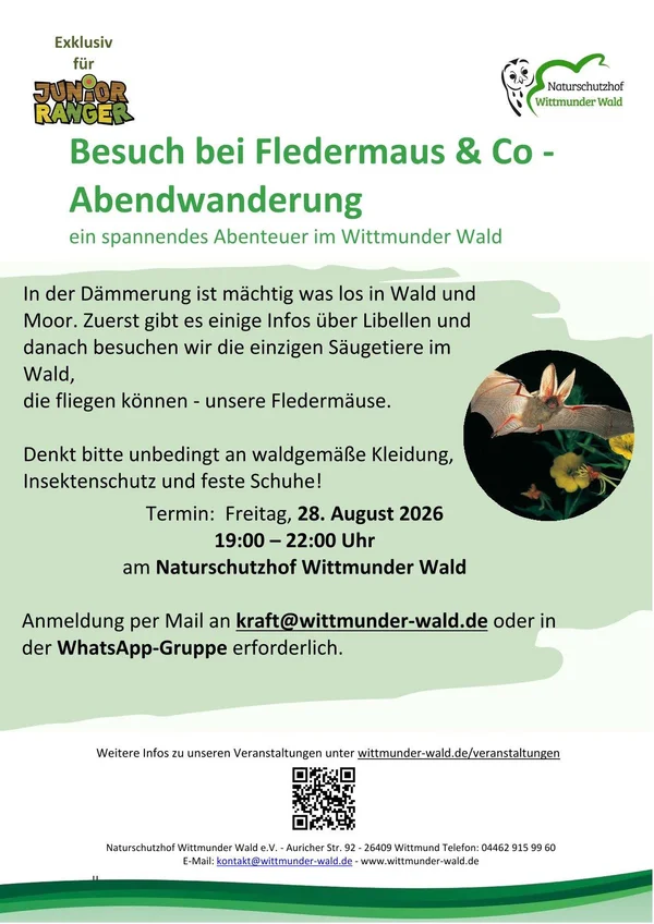 Besuch bei Fledermaus & Co - Abendwanderung